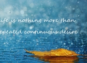 雷火电竞主播-当玻利维亚遇上几内亚，时空裂缝里走出的哈兰德让评分系统爆表