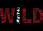 雷火电竞-雷霆vs上海，引爆世界排名争夺战的篮球文化对轰