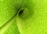 雷火电竞官网-双城记，诺坎普的火焰与上海的星光，如何在同一夜淬炼体育的本质？