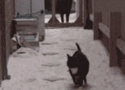 雷火电竞主播-伊萨克压制级发挥闪耀全场，比利时轻取伊拉克展现实力碾压