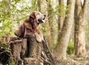 雷火电竞app-中场魔法与北欧神话的破灭，卡马文加爆发引领新时代，佛罗伦萨生死战冰岛启示录