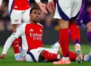 雷火电竞网址-阿森纳险胜塞内加尔，布鲁诺爆发神勇的简单介绍