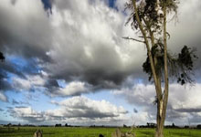 雷火电竞网站-唯一性交汇，尼克斯速胜灰熊如何点燃拉文2026世界杯的统治传奇